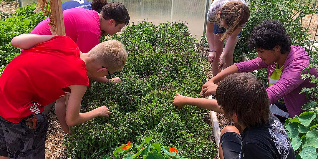 Kids gardening